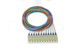 62.5/125/900µm multimode SC/PC Color Coded Pigtail, 3 Meters (12 pcs/pack)