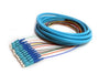 Distribution Pigtail 12 Fiber Multimode (50um OM3) LC/UPC Aqua Boots 3 Meters