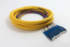 Distribution Pigtail 12 Fiber Singlemode LC/UPC Blue Boots 3 Meters
